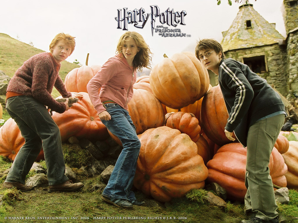 harry_potter_1.jpg