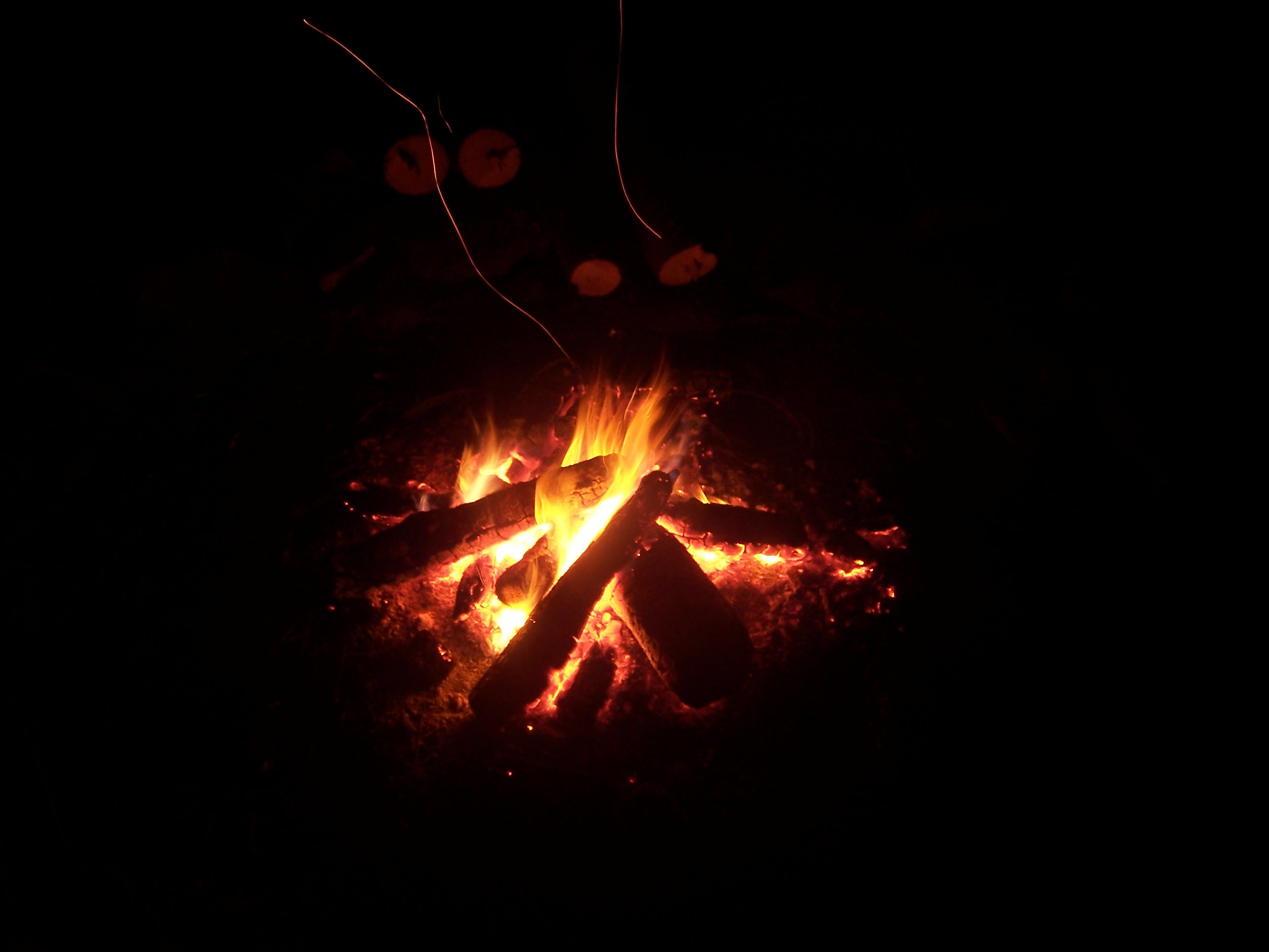 100_8148.JPG