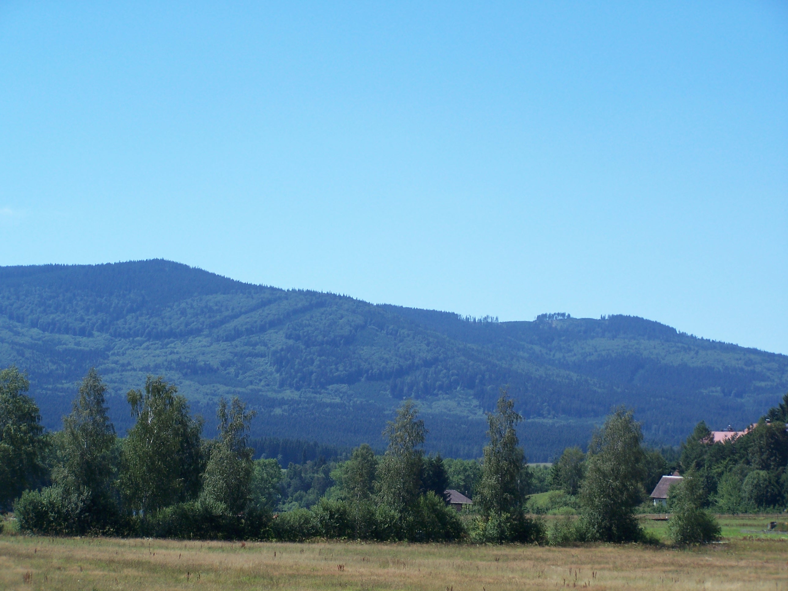 100_8206.JPG