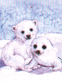 ml6.gif