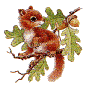ve4.gif